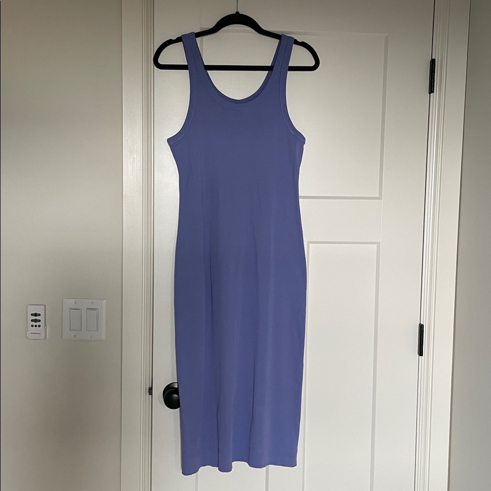 Everlane 90’s Ribbed Midi Tank Dress